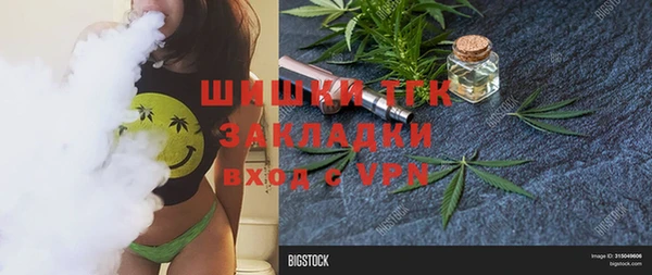 тгк Алексин