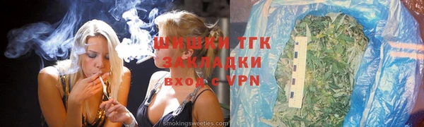 тгк Алексин