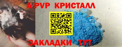 спиды Сланцы